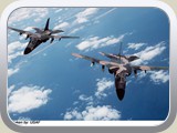 bf111_p_03_l
