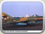 fmig17_p_02_l