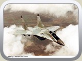 fmig29_p_06_l