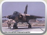 fmiraf1_p_05_l