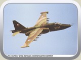 fsu25_p_02_l