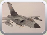ftornids_p_01_l
