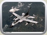 ftornids_p_03_l
