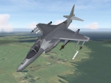 Harrier